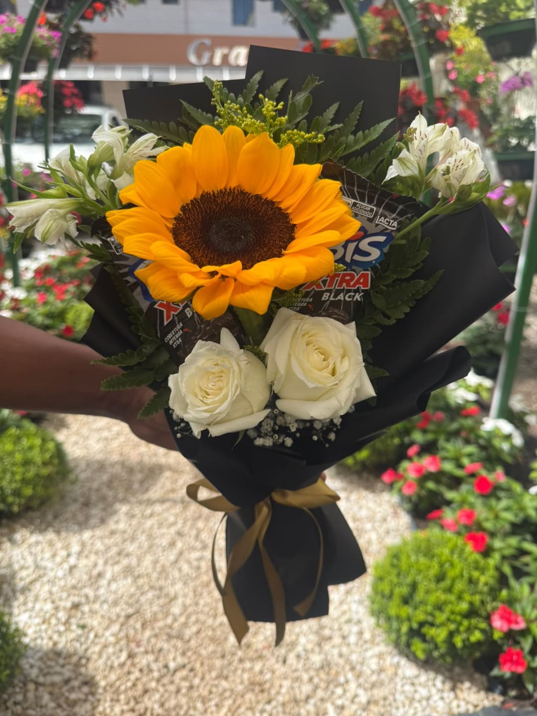 primeiro buquĂȘ đ