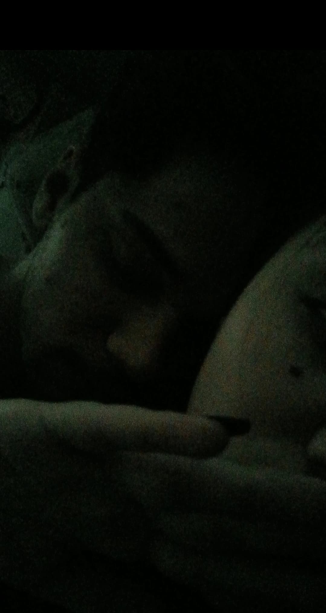 primeira noite juntos