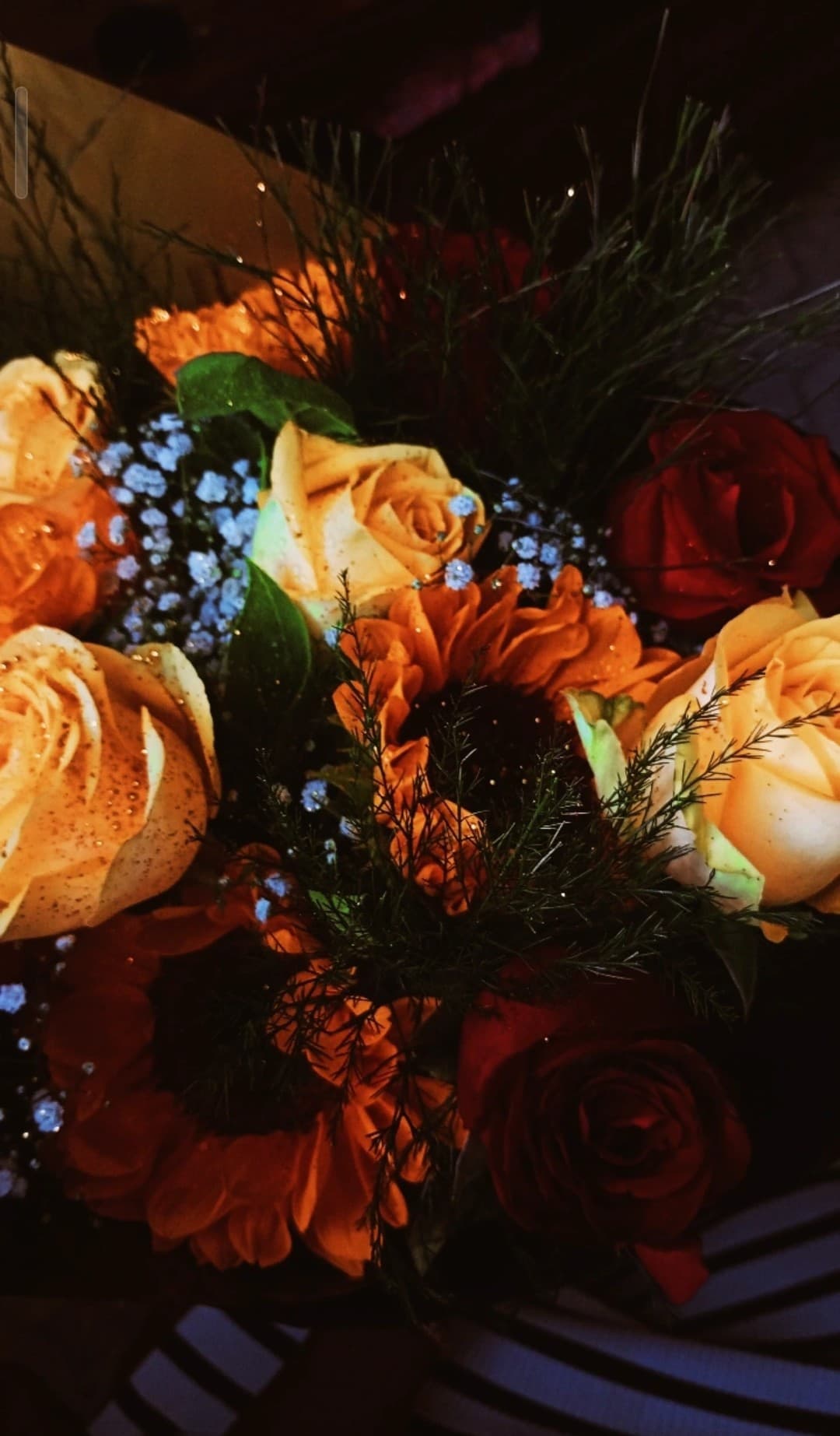 O dia em que eu conheci o amor da minha vida.