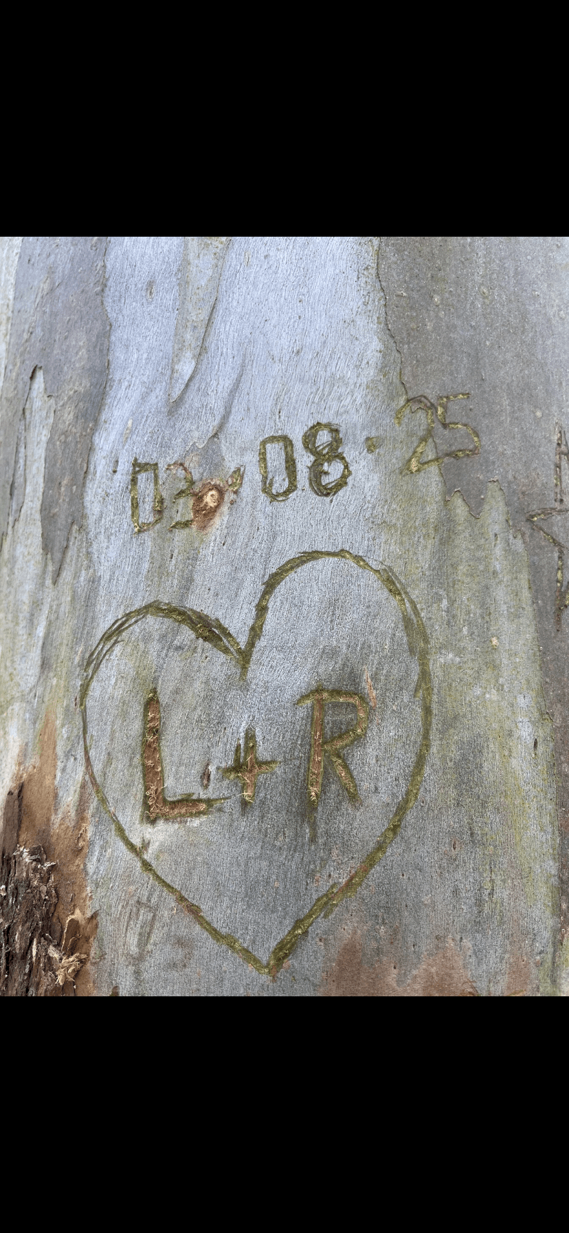 Eternizando nos 🤍