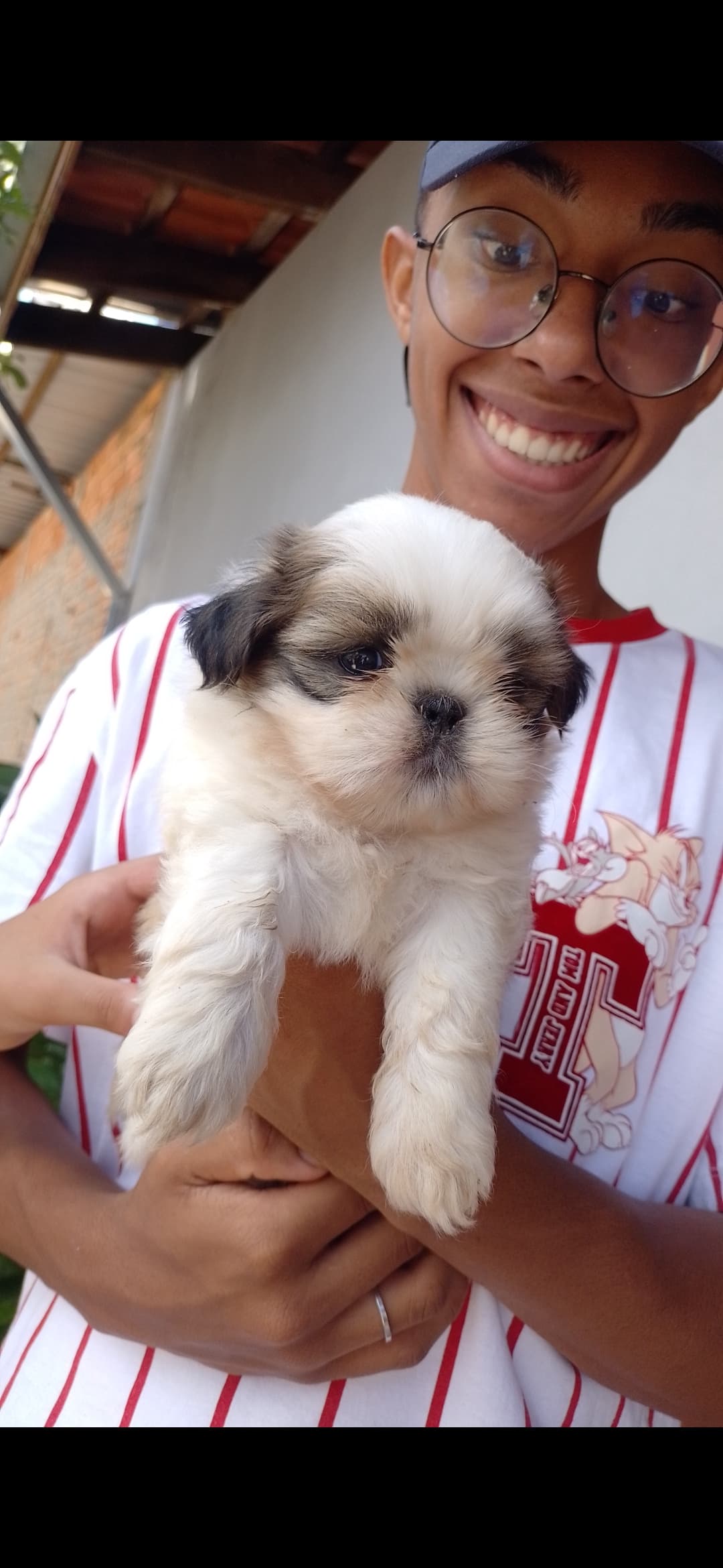 Primiero dia do marley