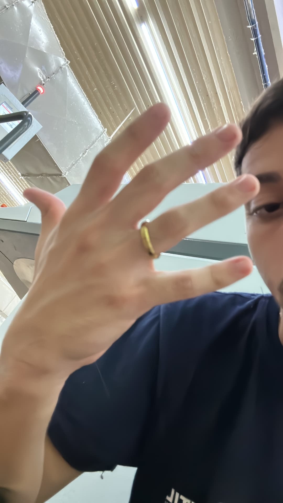 O dia da primeira aliança