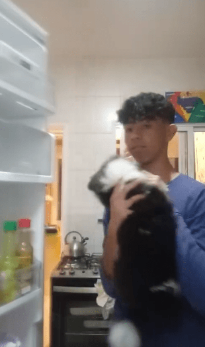 Me declarei pra você 🫶🏼🫶🏼