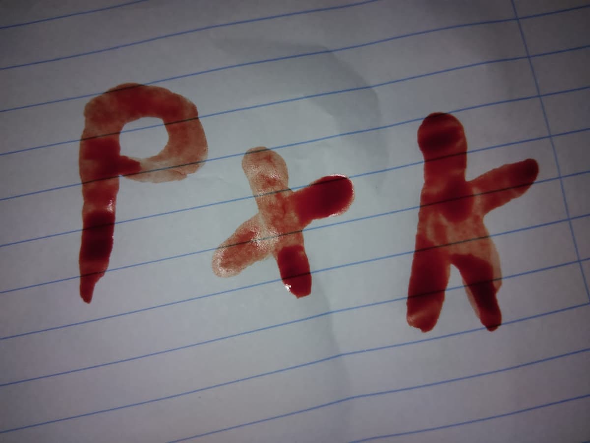 Vc fazendo nossas iniciais com sangue