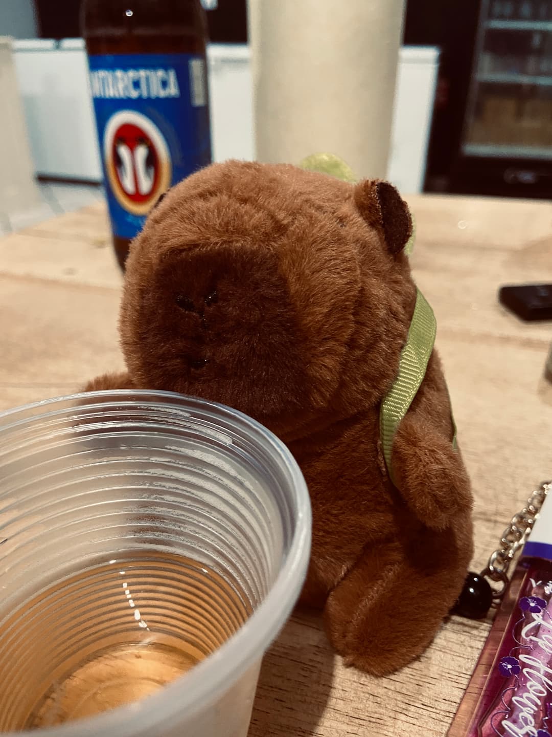 nosso primeiro filho