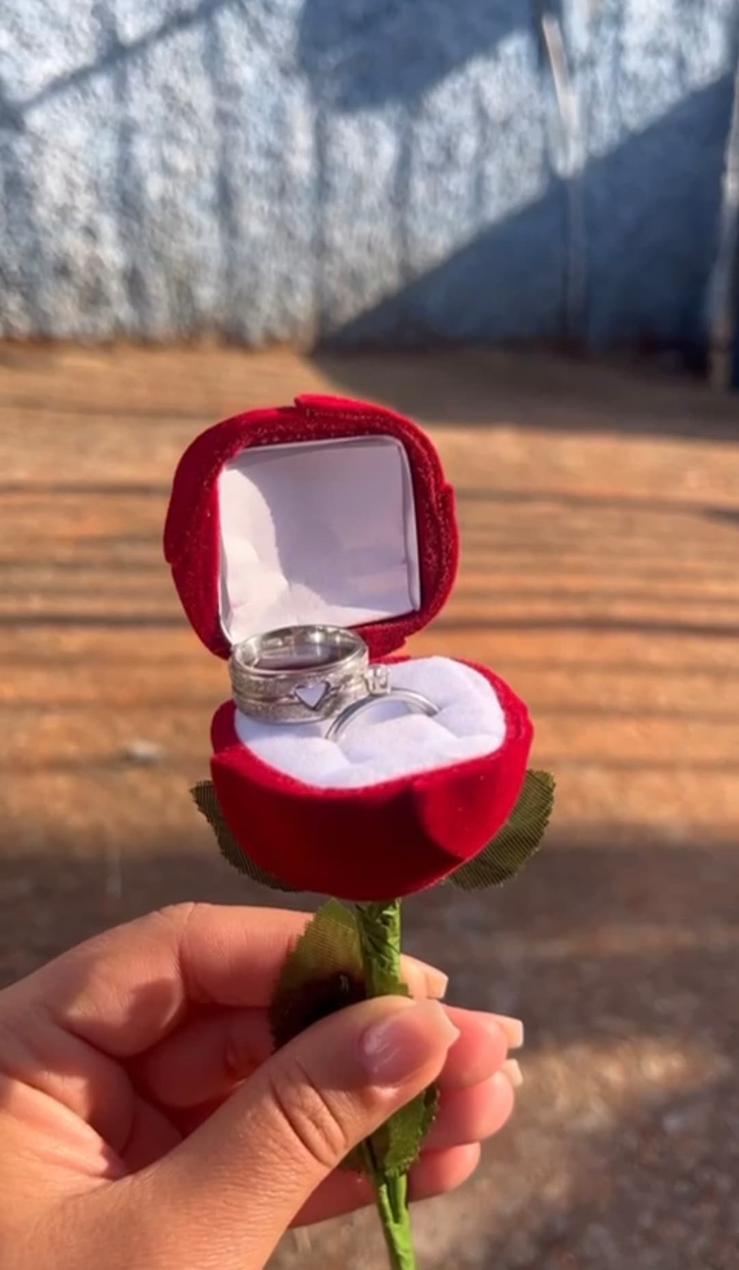 O dia em que te pedi em namoro