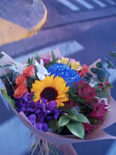 Meu primeiro presente